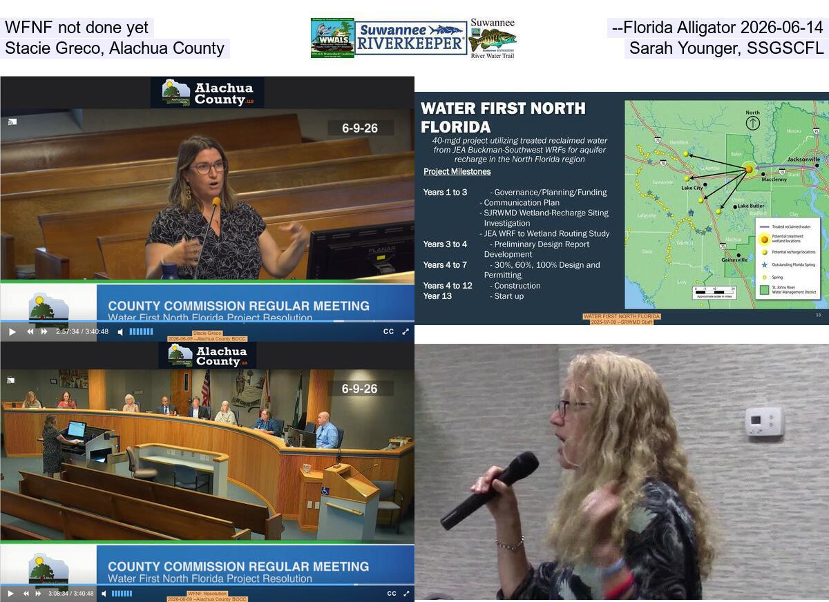 WFNF not done yet --Florida Alligator 2026-06-14, Stacie Greco, Alachua County, Sarah Younger, SSGSCFL