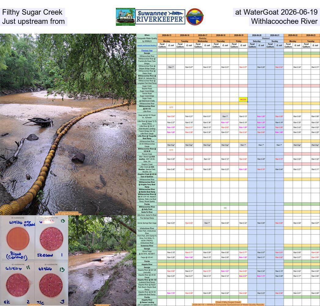 Filthy Sugar Creek at WaterGoat 2026-06-19, Just upstream from Withlacoochee River
