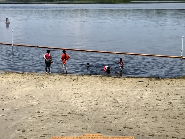 Zoomed swimming, 2026:06:20 14:24:17, 31.1622111, -83.5480944 --Gretchen Quarterman for WWALS