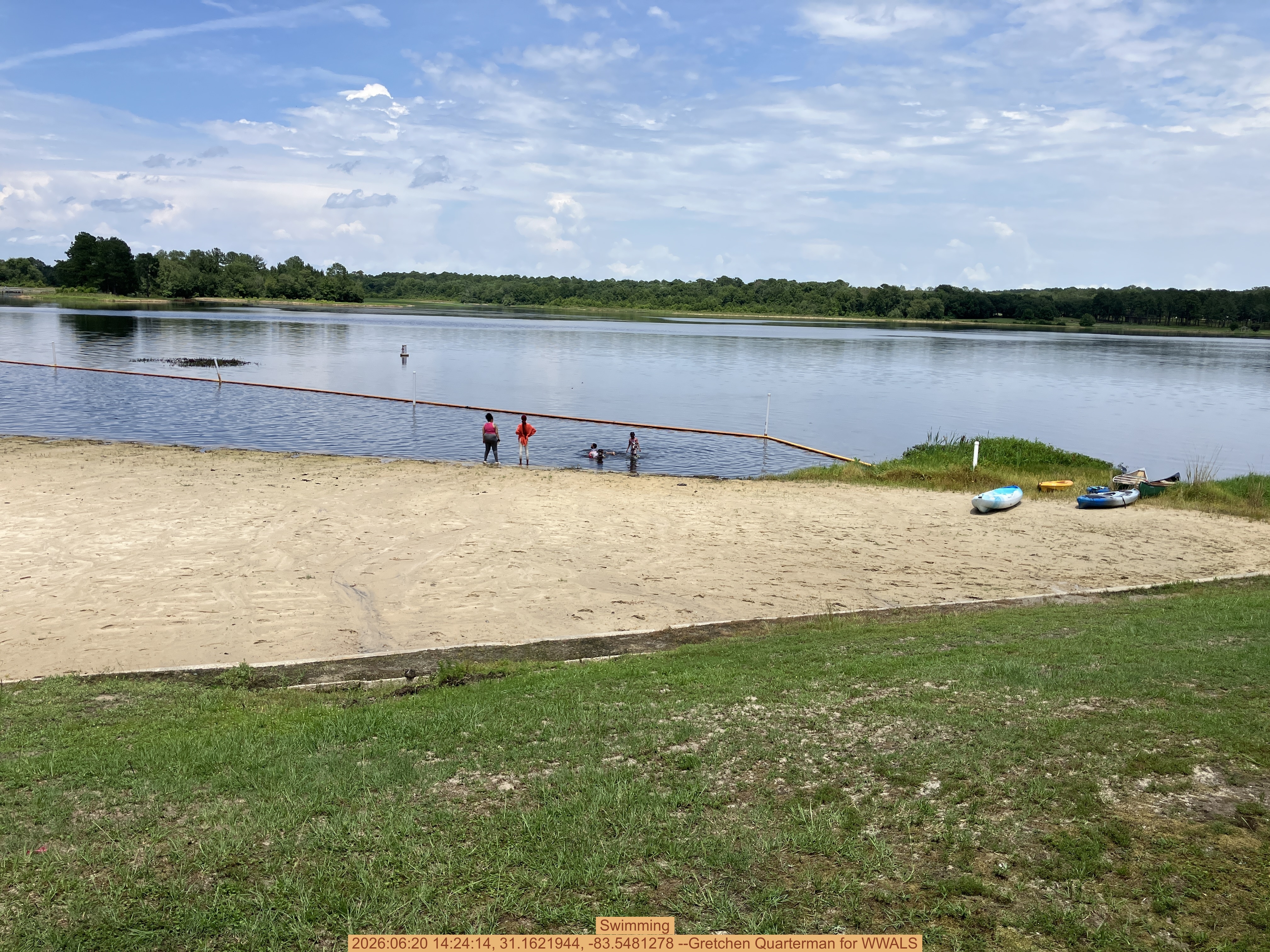 Swimming, 2026:06:20 14:24:14, 31.1621944, -83.5481278 --Gretchen Quarterman for WWALS