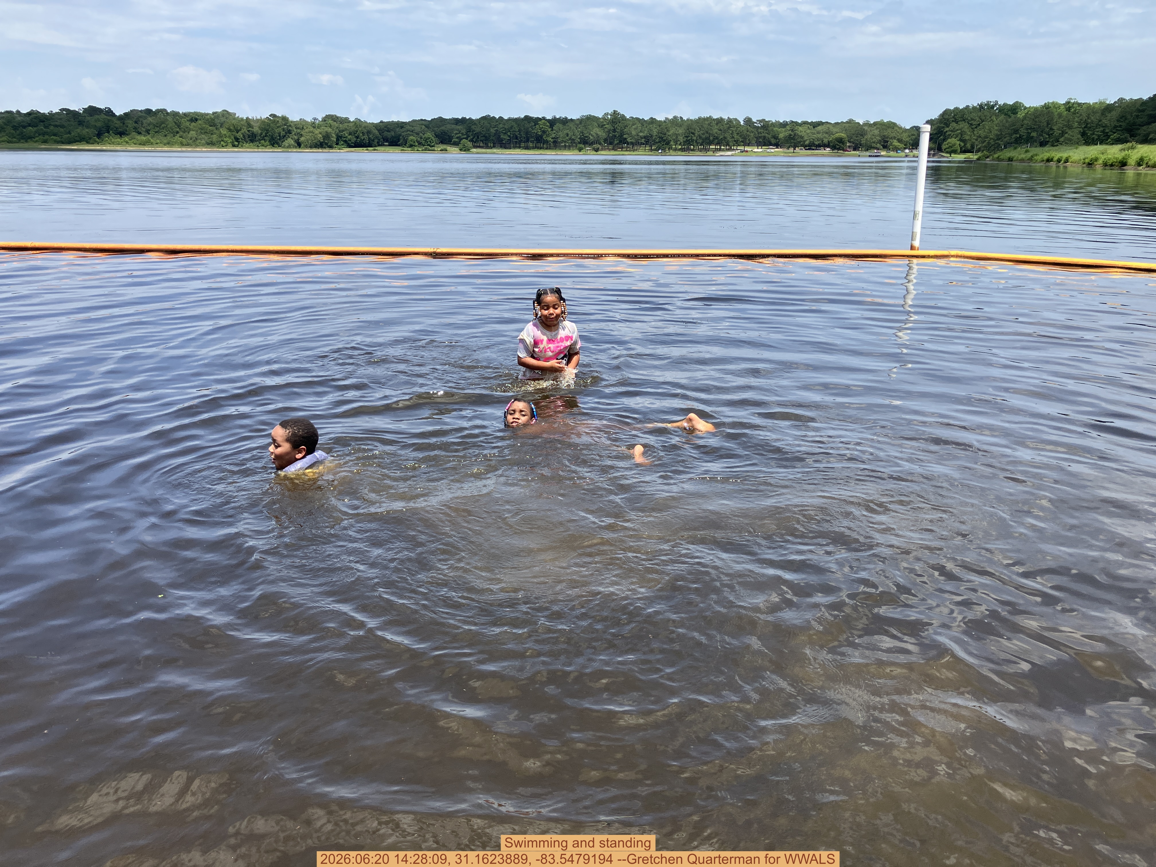 Swimming and standing, 2026:06:20 14:28:09, 31.1623889, -83.5479194 --Gretchen Quarterman for WWALS