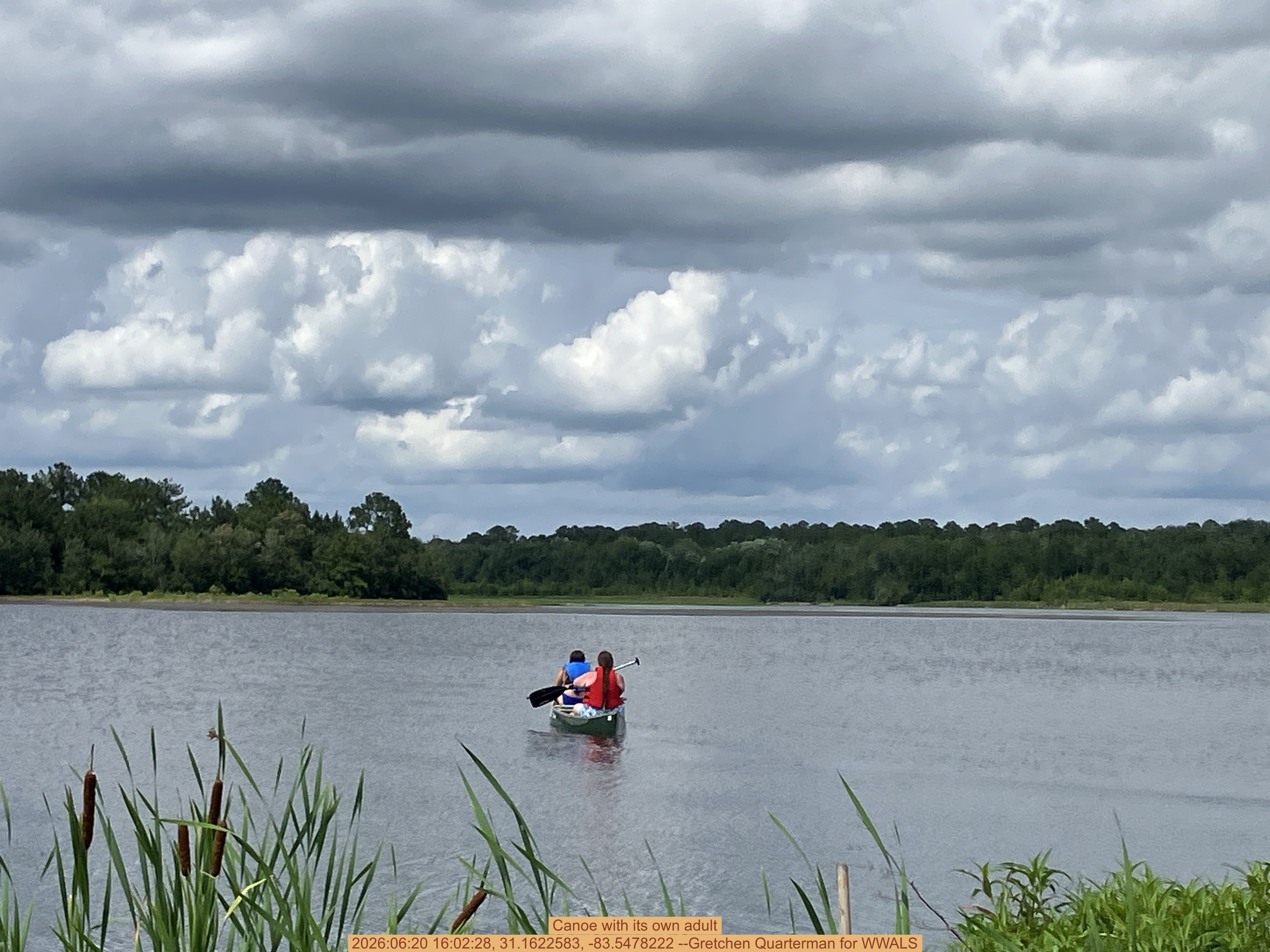Canoe with its own adult, 2026:06:20 16:02:28, 31.1622583, -83.5478222 --Gretchen Quarterman for WWALS