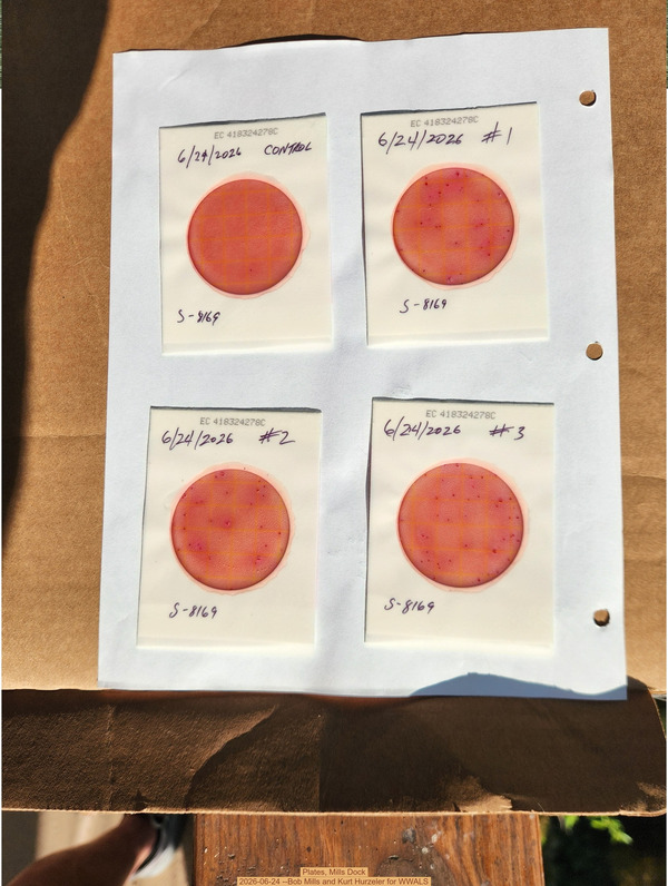Plates, Mills Dock 2026-06-24 --Bob Mills and Kurt Hurzeler for WWALS