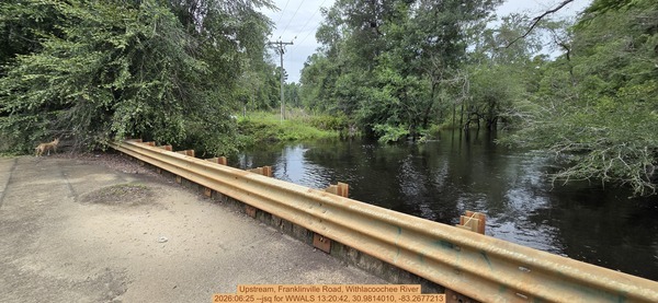 Upstream, Franklinville Road, Withlacoochee River, 2026:06:25 --jsq for WWALS 13:20:42, 30.9814010, -83.2677213