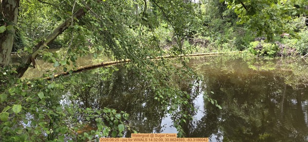 [Watergoat @ Sugar Creek, 2026:06:25 --jsq for WWALS 14:32:09, 30.8624593, -83.3186042]