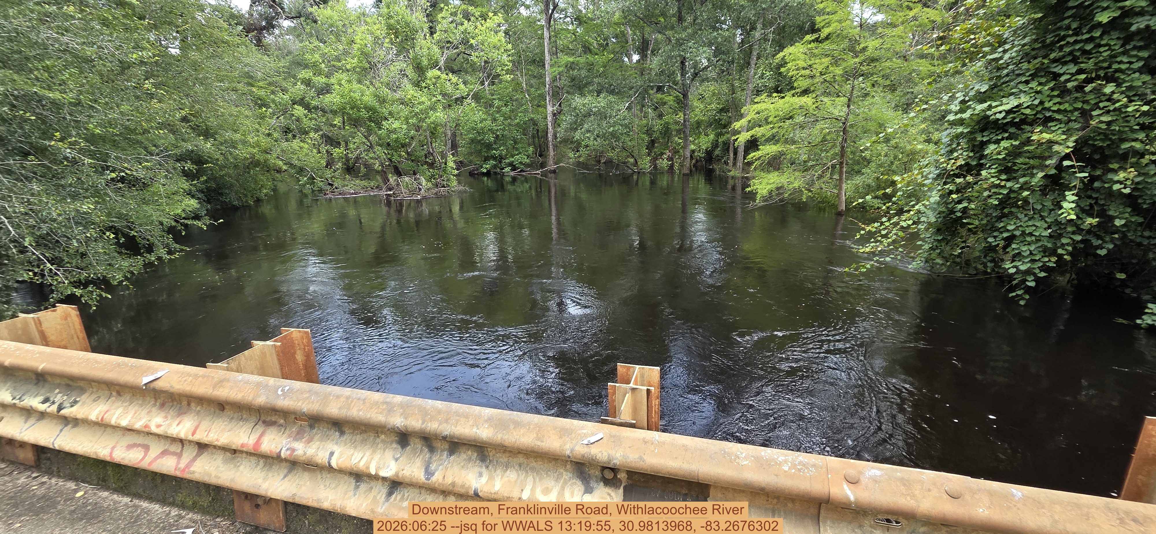 Downstream, Franklinville Road, Withlacoochee River, 2026:06:25 --jsq for WWALS 13:19:55, 30.9813968, -83.2676302