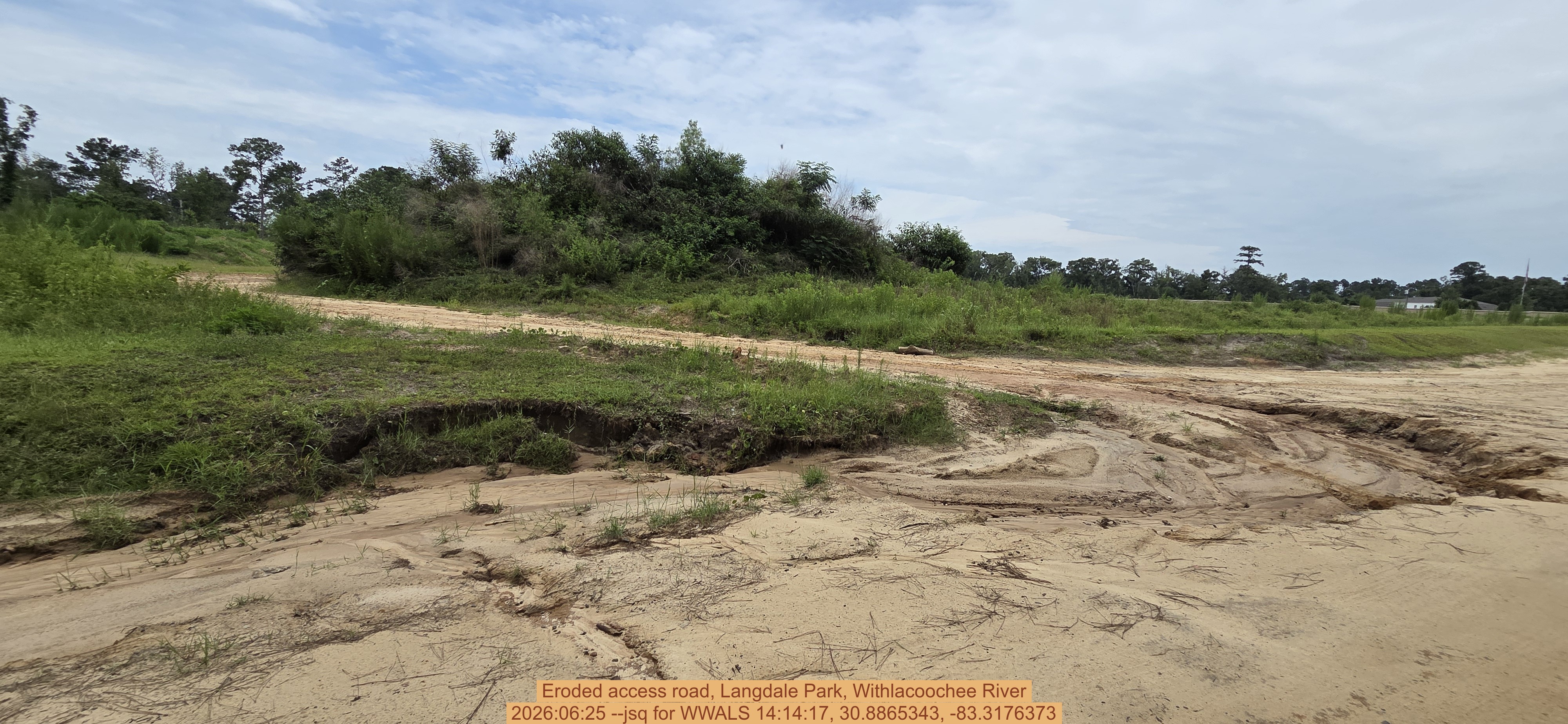 Eroded access road, Langdale Park, Withlacoochee River, 2026:06:25 --jsq for WWALS 14:14:17, 30.8865343, -83.3176373