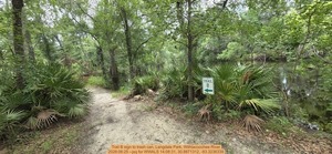 [Trail B sign to trash can, Langdale Park, Withlacoochee River, 2026:06:25 --jsq for WWALS 14:08:31, 30.8871312, -83.3236339]