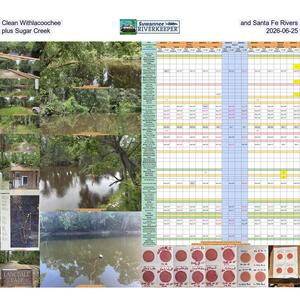 [Clean Withlacoochee and Santa Fe Rivers, plus Sugar Creek, 2026-06-25]