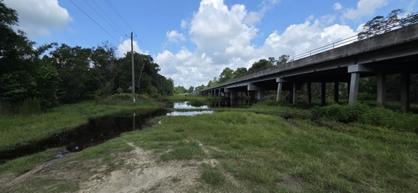[Hagan Bridge Landing, Withlacoochee River @ GA 122, 2026:06:26 11:47:49, 31.0137849, -83.3013565]