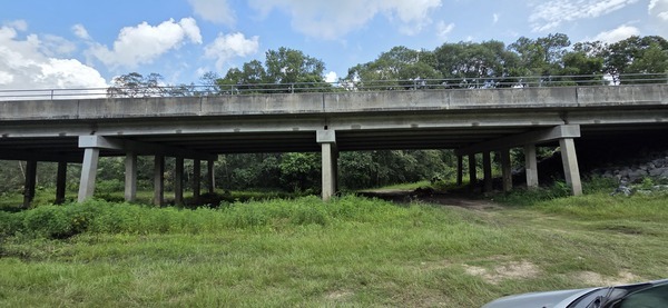 Trash under Hagan Bridge, 2026:06:26 11:47:51, 31.0137387, -83.3012887