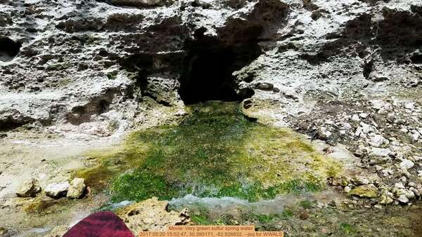 Movie: Very green sulfur spring water, 2017:05:20 15:02:47, 30.390171, -82.926832, --jsq for WWALS