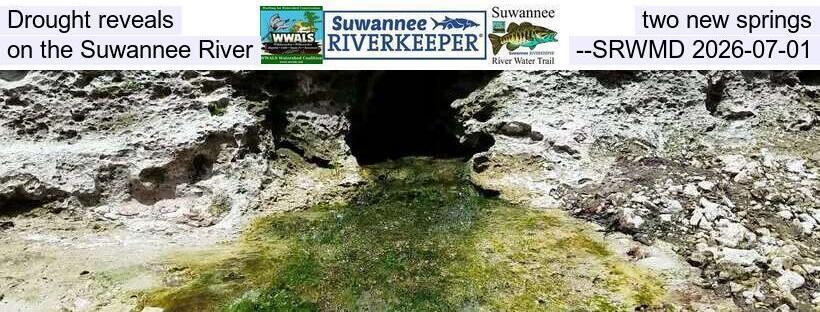 Drought reveals two new springs on the Suwannee River --SRWMD 2026-07-01