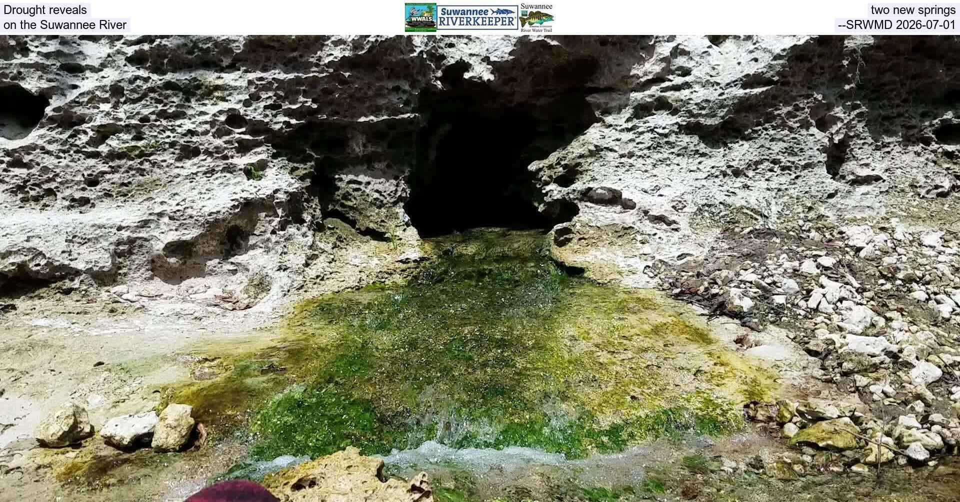 [Drought reveals two new springs on the Suwannee River --SRWMD 2026-07-01]