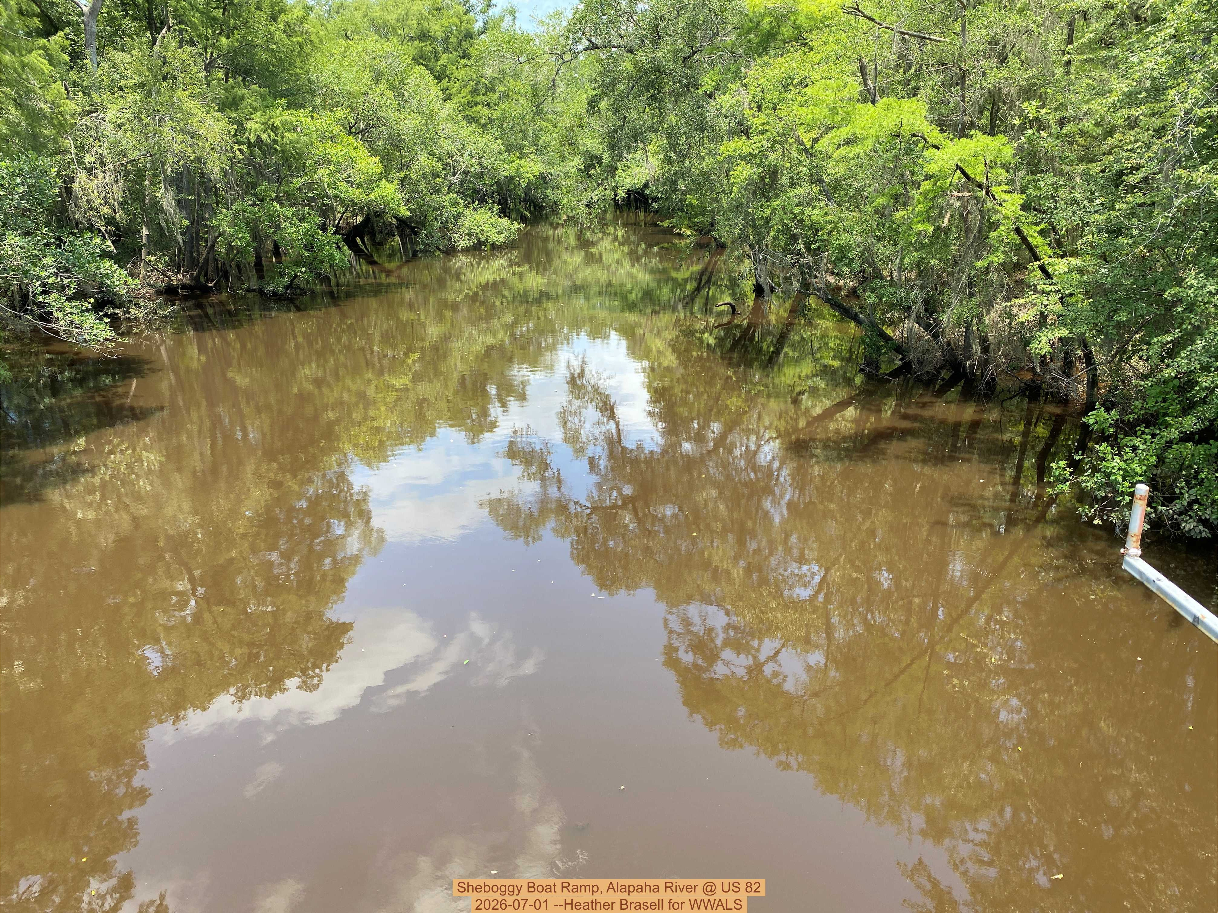 Sheboggy Boat Ramp, Alapaha River @ US 82 2026-07-01 --Heather Brasell for WWALS