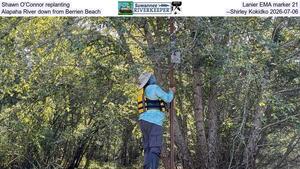 [Shawn O'Connor replanting Lanier EMA marker 21, Alapaha River down from Berrien Beach, --Shirley Kokidko 2026-07-06]