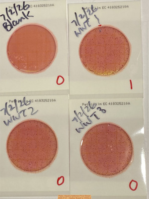 [Plates, Alapaha Settlement Pond Stream 2026-07-01 --Heather Brasell for WWALS]