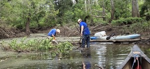 [Phil sawing, Andrew removing sawed branches, 2026:07:11 11:13:33, 30.8820190, -83.3249559]