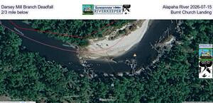 [Darsey Mill Branch Deadfall, Alapaha River 2026-07-15, 2/3 mile below Burnt Church Landing]