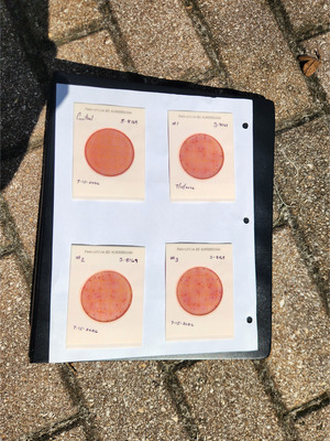 [Plates, Mills Dock 2026-07-15 --Bob Mills and Kurt Hurzeler for WWALS]