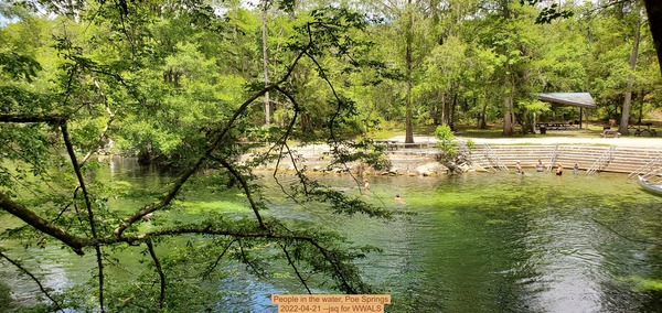 [People in the water, Poe Springs, 2022-04-21 --jsq for WWALS]