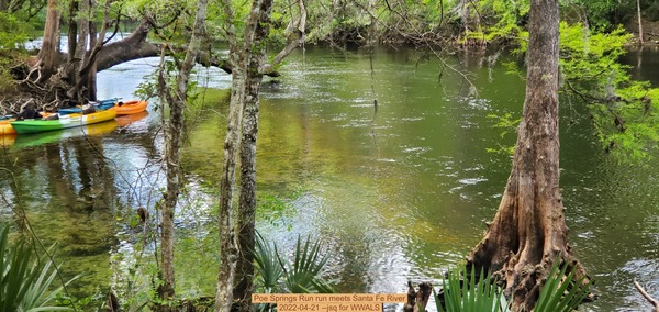 Poe Springs Run run meets Santa Fe River, 2022-04-21 --jsq for WWALS