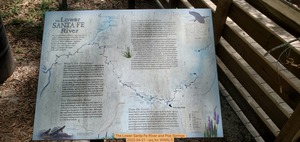 [The Lower Santa Fe River and Poe Springs, 2022-04-21 --jsq for WWALS]