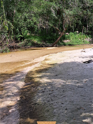 [Upstream, Sugar Creek @ WaterGoat 2026-07-22 --Suzy Hall for WWALS]