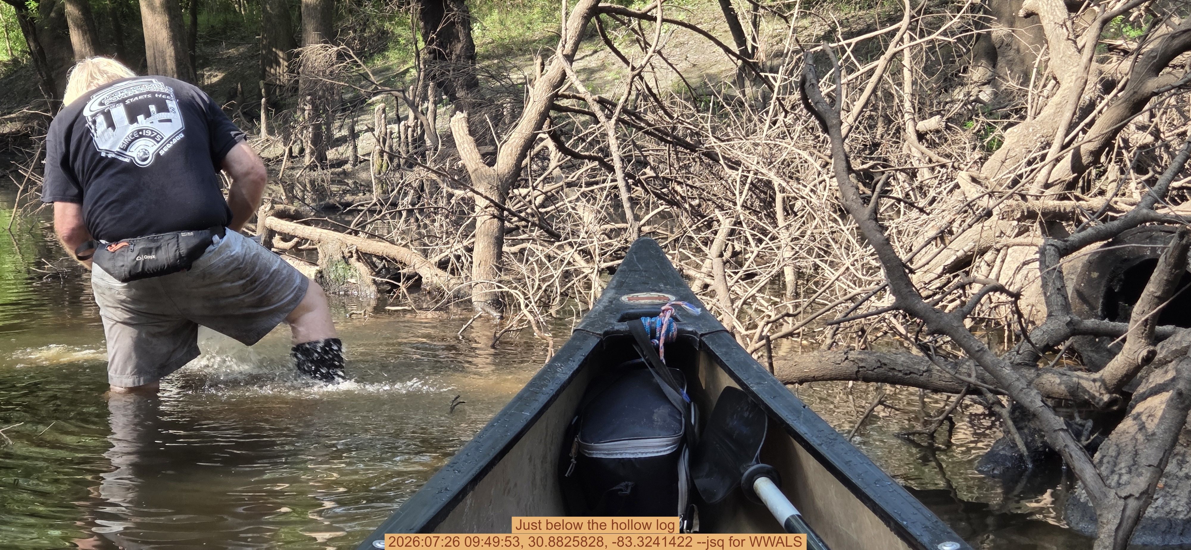 Just below the hollow log, 2026:07:26 09:49:53, 30.8825828, -83.3241422 --jsq for WWALS