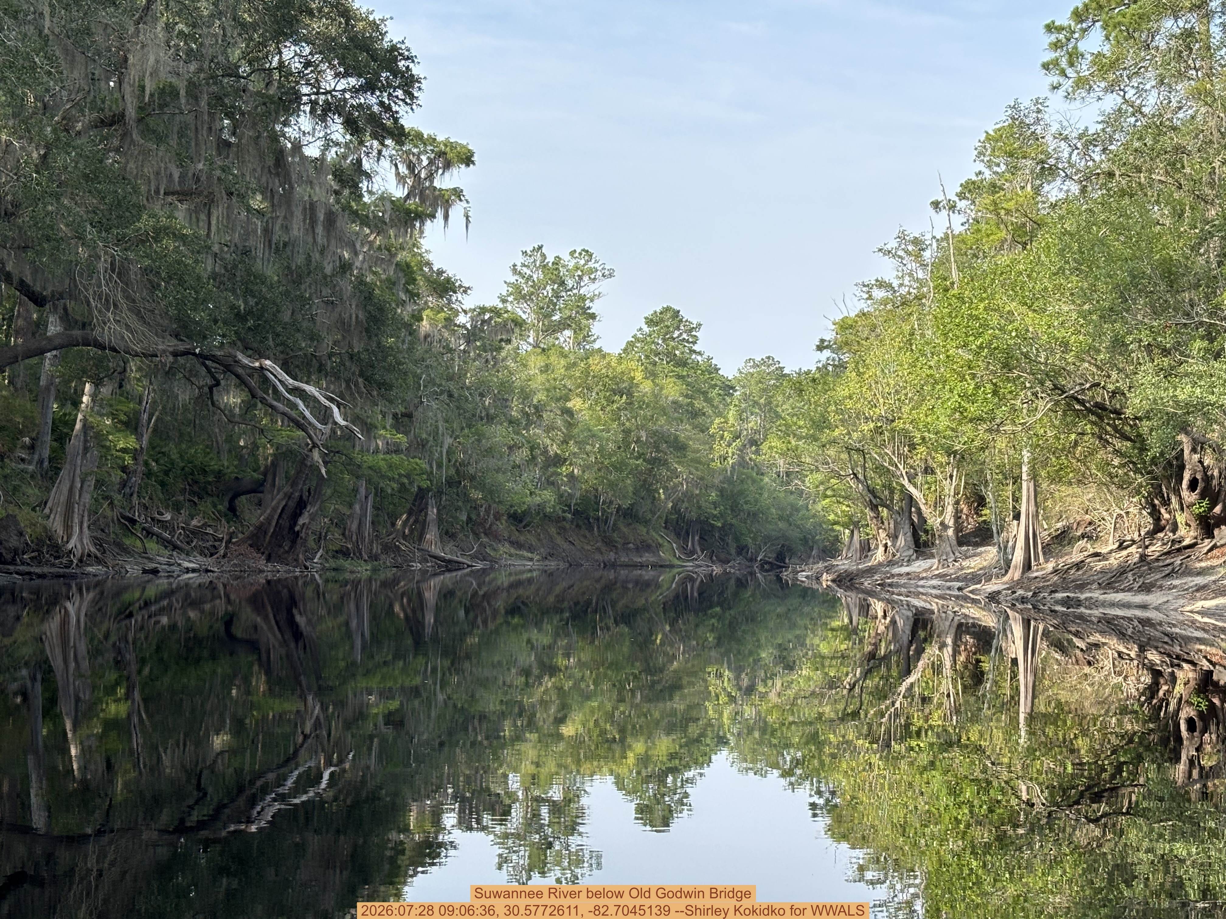 Suwannee River below Old Godwin Bridge, 2026:07:28 09:06:36, 30.5772611, -82.7045139 --Shirley Kokidko for WWALS
