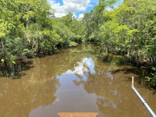 [Sheboggy Boat Ramp, Alapaha River @ US 82 2026-08-08 --Heather Brasell for WWALS]