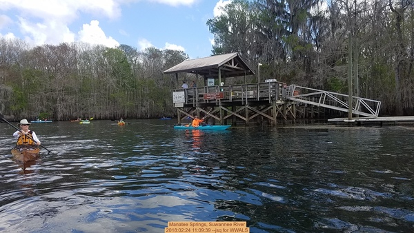 [Manatee Springs, Suwannee River, 2018:02:24 11:09:39 --jsq for WWALS]