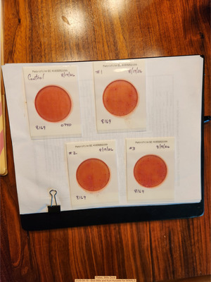 [Plates, Mills Dock 2026-08-19 --Bob Mills and Kurt Hurzeler for WWALS]