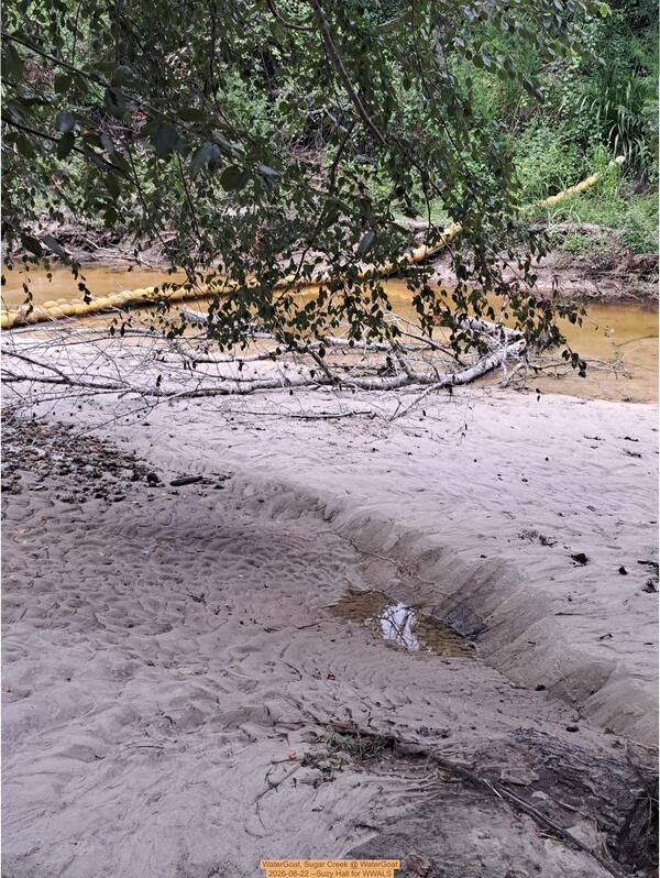 [WaterGoat, Sugar Creek @ WaterGoat 2026-08-22 --Suzy Hall for WWALS]