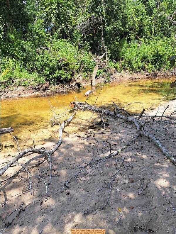 Deadfall, Sugar Creek @ WaterGoat 2026-08-22 --Suzy Hall for WWALS