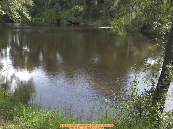 [Holly Point, Withlacoochee River @ NE Withla Bluffs Way 2026-08-26 --Russ Tatum for WWALS]