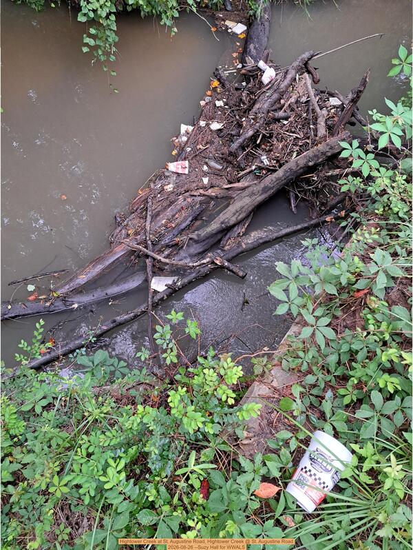 [Hightower Creek at St. Augustine Road, Hightower Creek @ St. Augustine Road 2026-08-26 --Suzy Hall for WWALS]