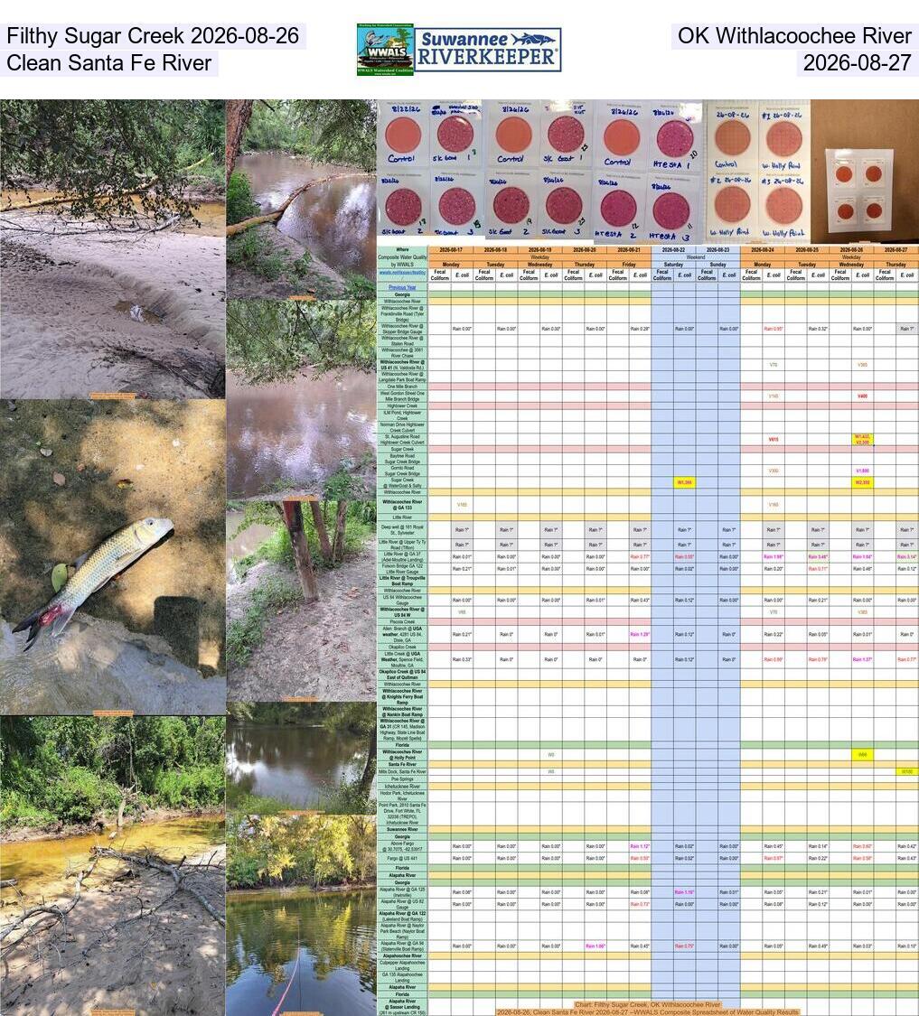 [Filthy Sugar Creek 2026-08-26, OK Withlacoochee River, Clean Santa Fe River 2026-08-27]