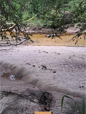 [Again, Sugar Creek @ WaterGoat 2026-08-22 --Suzy Hall for WWALS]