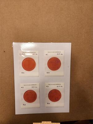[Plates, Mills Dock 2026-08-27 --Bob Mills and Kurt Hurzeler for WWALS]