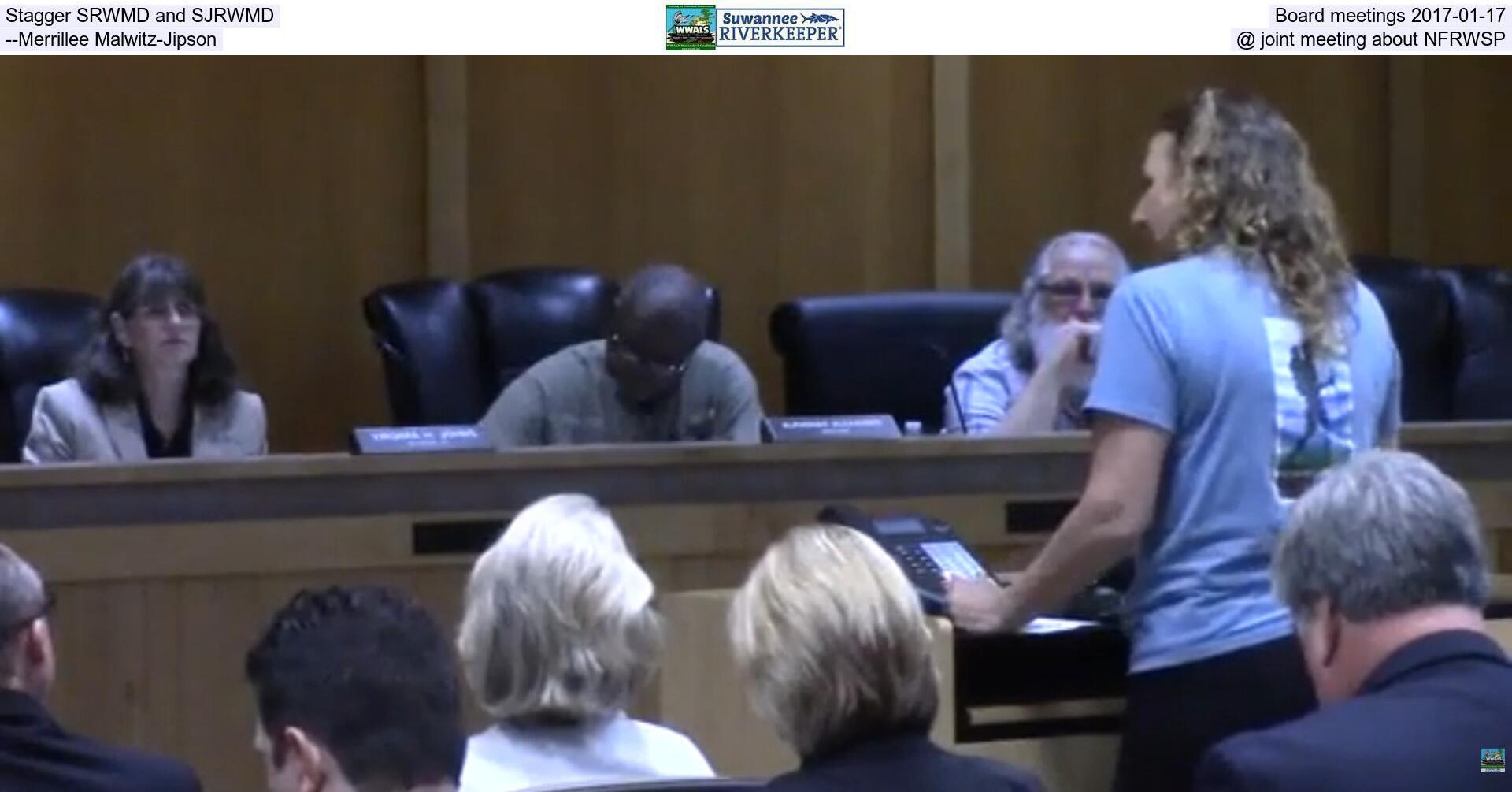 [Stagger SRWMD and SJRWMD Board meetings, 2017-01-17 --Merrillee Malwitz-Jipson @ joint meeting about NFRWSP]