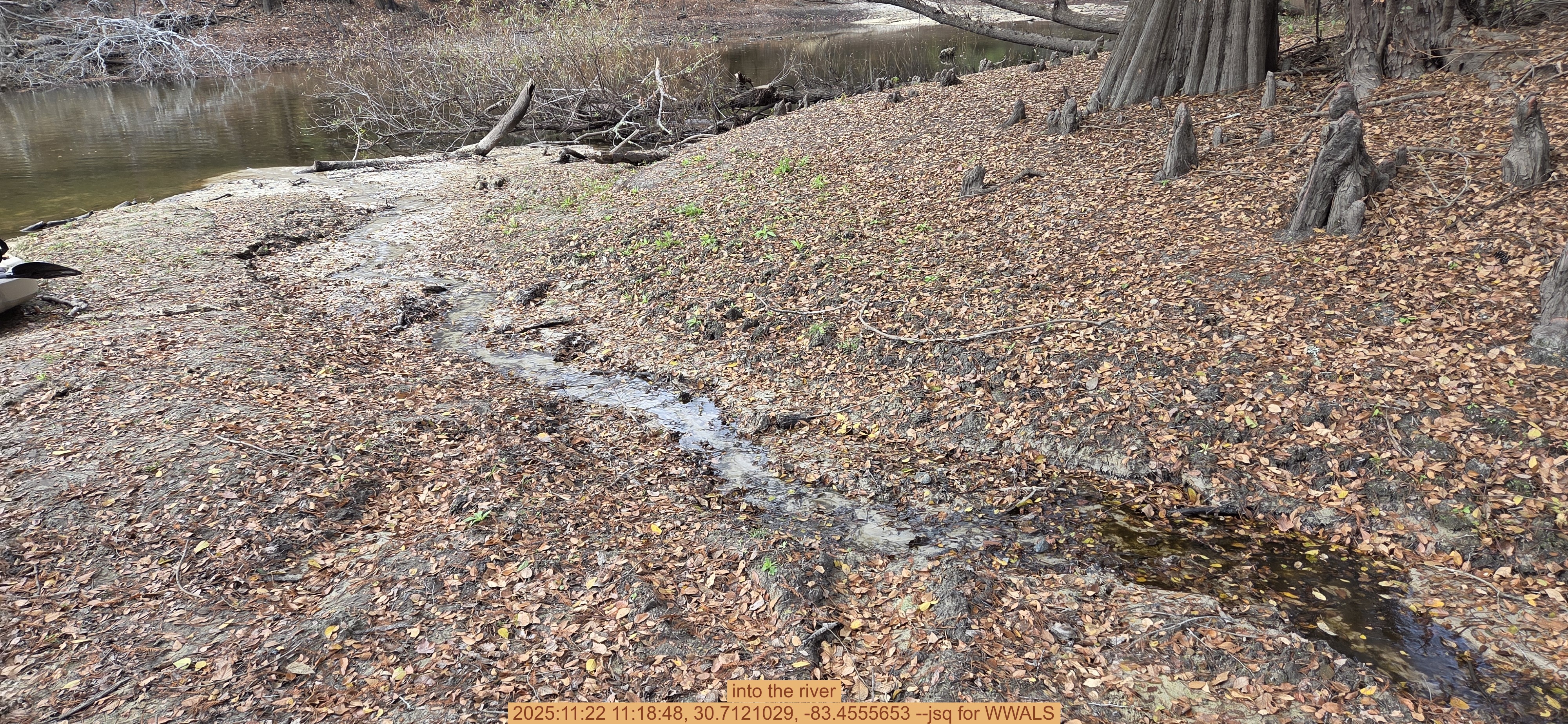 into the river, 2025:11:22 11:18:48, 30.7121029, -83.4555653 --jsq for WWALS