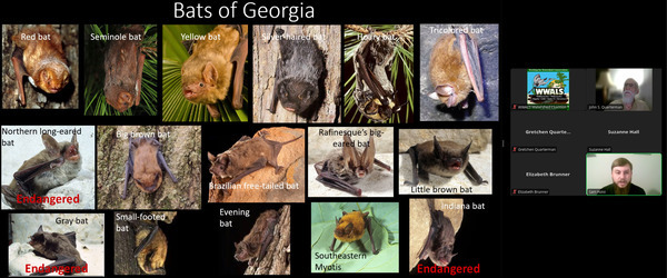 Bat Names, 2025-08-21 --Samuel Holst, GA-DNR