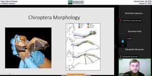 [Video: Bats of Georgia, Samuel Holst, GA-DNR, a WWALS Webinar, August 21, 2025]