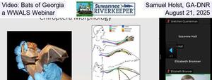 [Video: Bats of Georgia, Samuel Holst, GA-DNR, a WWALS Webinar, August 21, 2025]