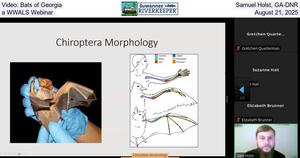 [Video: Bats of Georgia, Samuel Holst, GA-DNR, a WWALS Webinar, August 21, 2025]