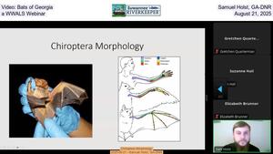 [Video: Bats of Georgia, Samuel Holst, GA-DNR, a WWALS Webinar, August 21, 2025]
