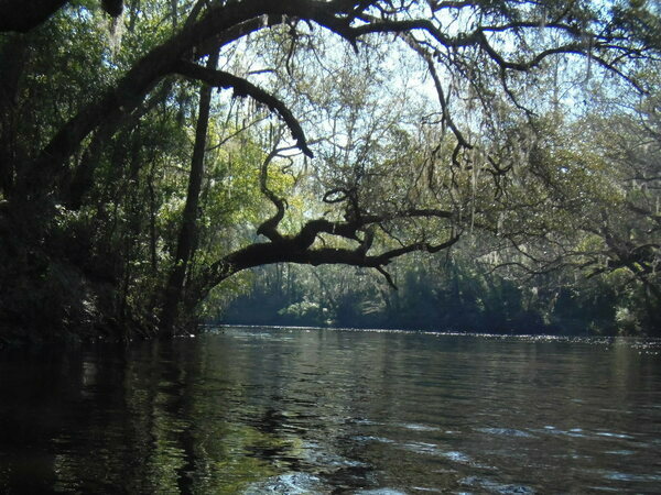 Tree-sheltered river, 09:24:58