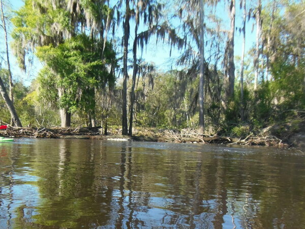 Oxbow tree, 09:39:53