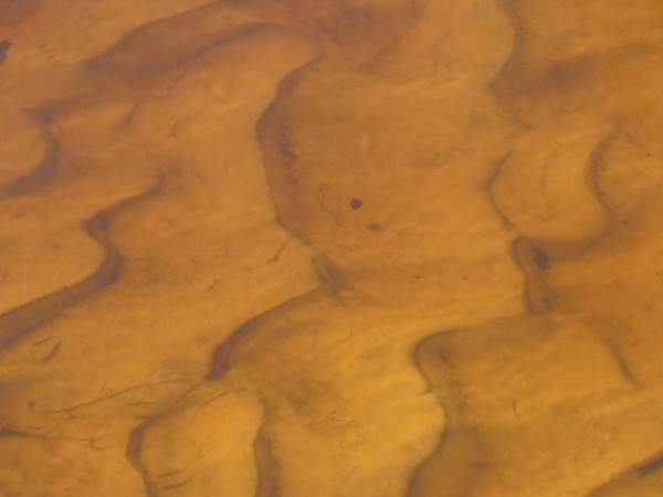 Tea-colored sand ripples, 10:24:01